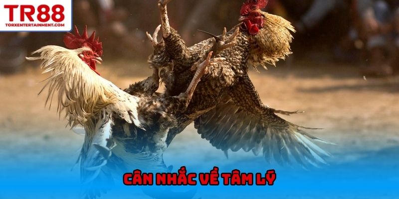 Cân nhắc về tâm lý