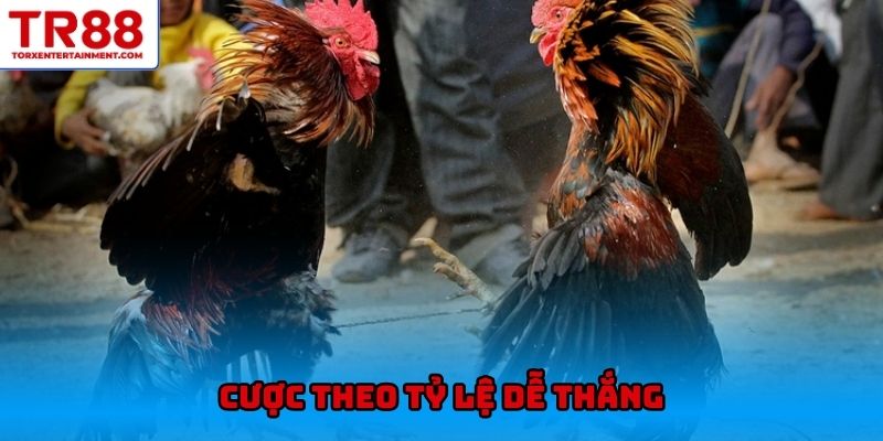 Cược theo tỷ lệ dễ thắng