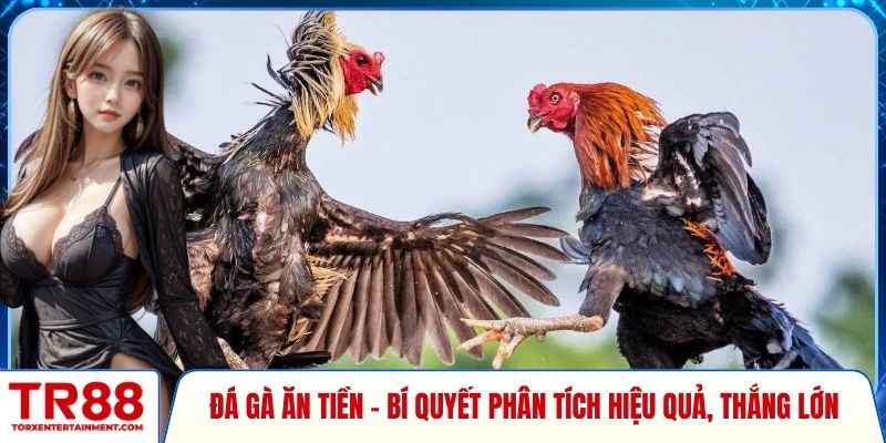 Đá gà ăn tiền