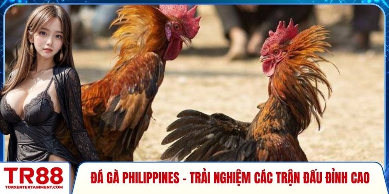Đá gà Philippines