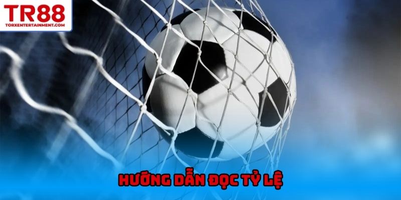 Hướng dẫn đọc tỷ lệ