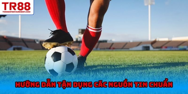 Hướng dẫn tận dụng các nguồn tin chuẩn