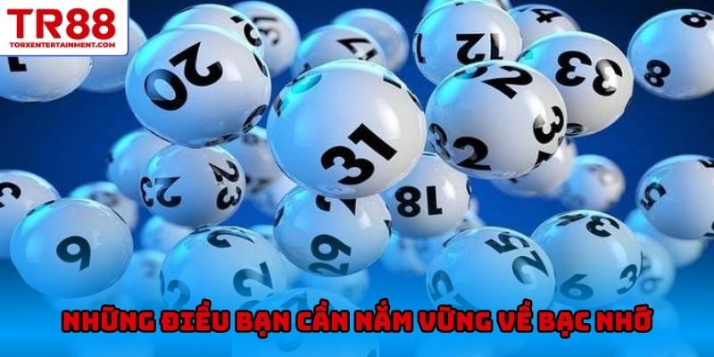 Những điều bạn cần nắm vững về bạc nhớ