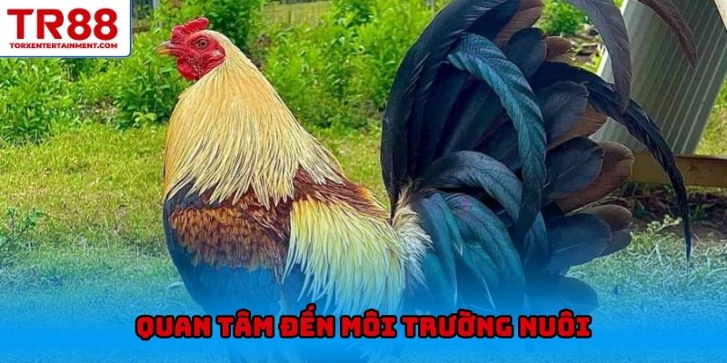 Quan tâm đến môi trường nuôi
