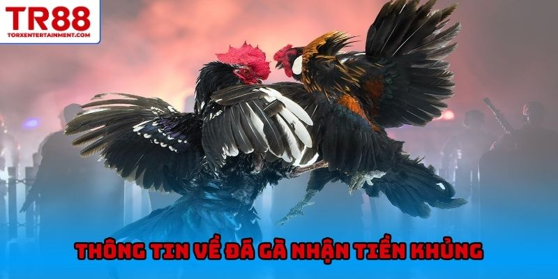 Thông tin về đá gà nhận tiền khủng