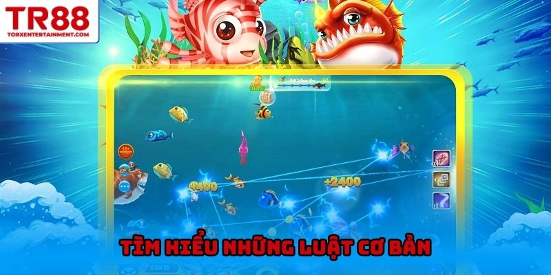 Tìm hiểu những luật cơ bản