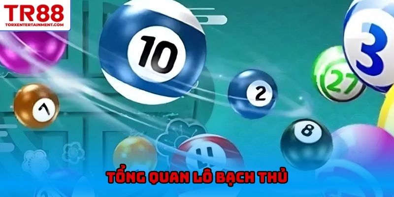 Tổng quan lô bạch thủ