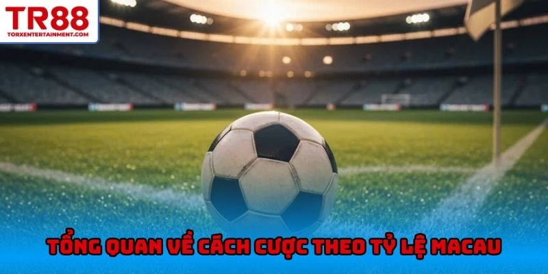 Tổng quan về cách cược theo tỷ lệ Macau