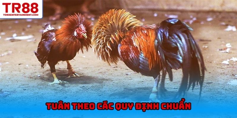 Tuân theo các quy định chuẩn